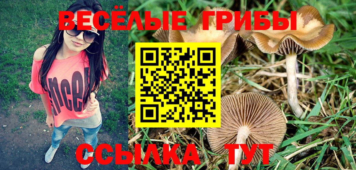 Псилоцибиновые грибы MAGIC MUSHROOMS  Вход с VPN  Старый Оскол 